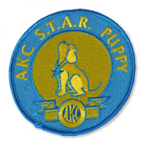 AKC S.T.A.R. Puppy Patch