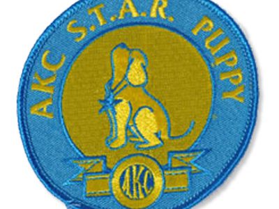 AKC S.T.A.R. Puppy Patch